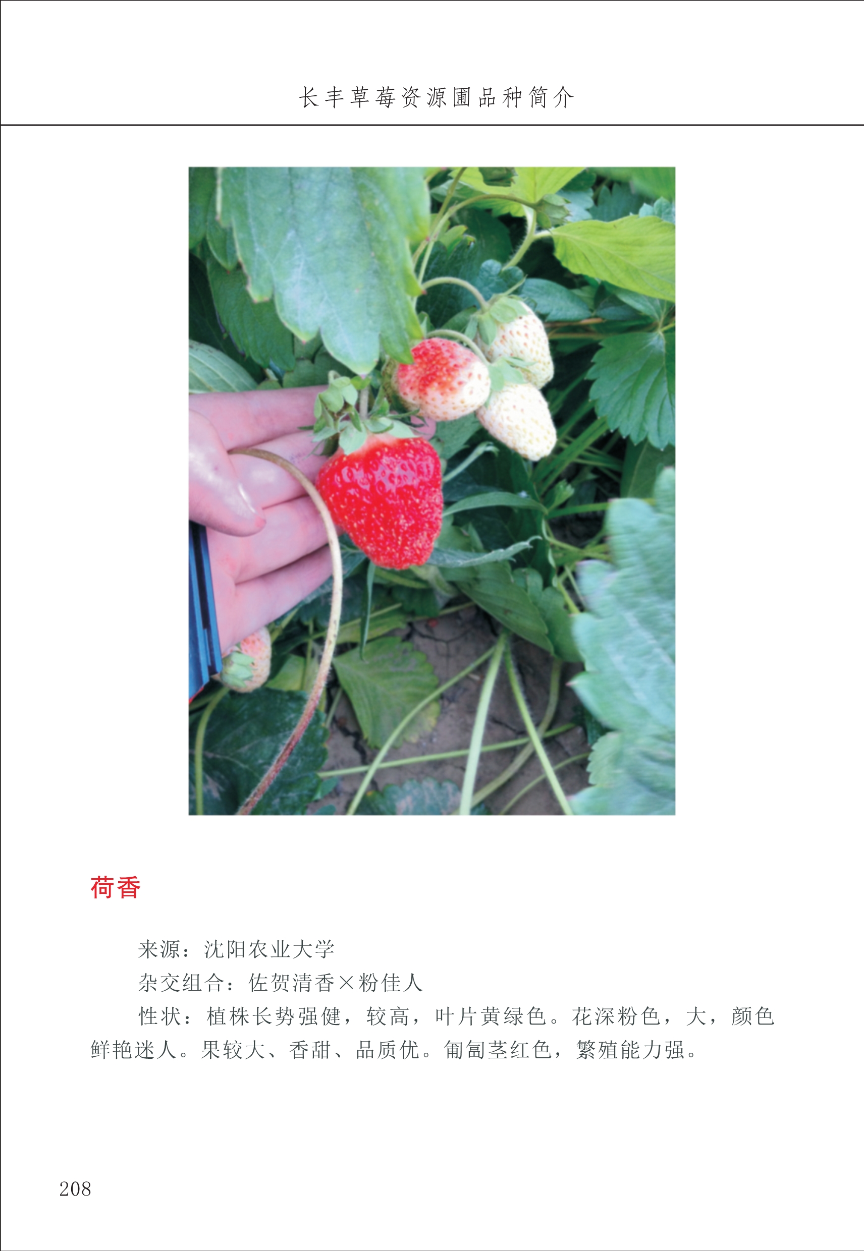 長豐農(nóng)技中心3_8.jpg