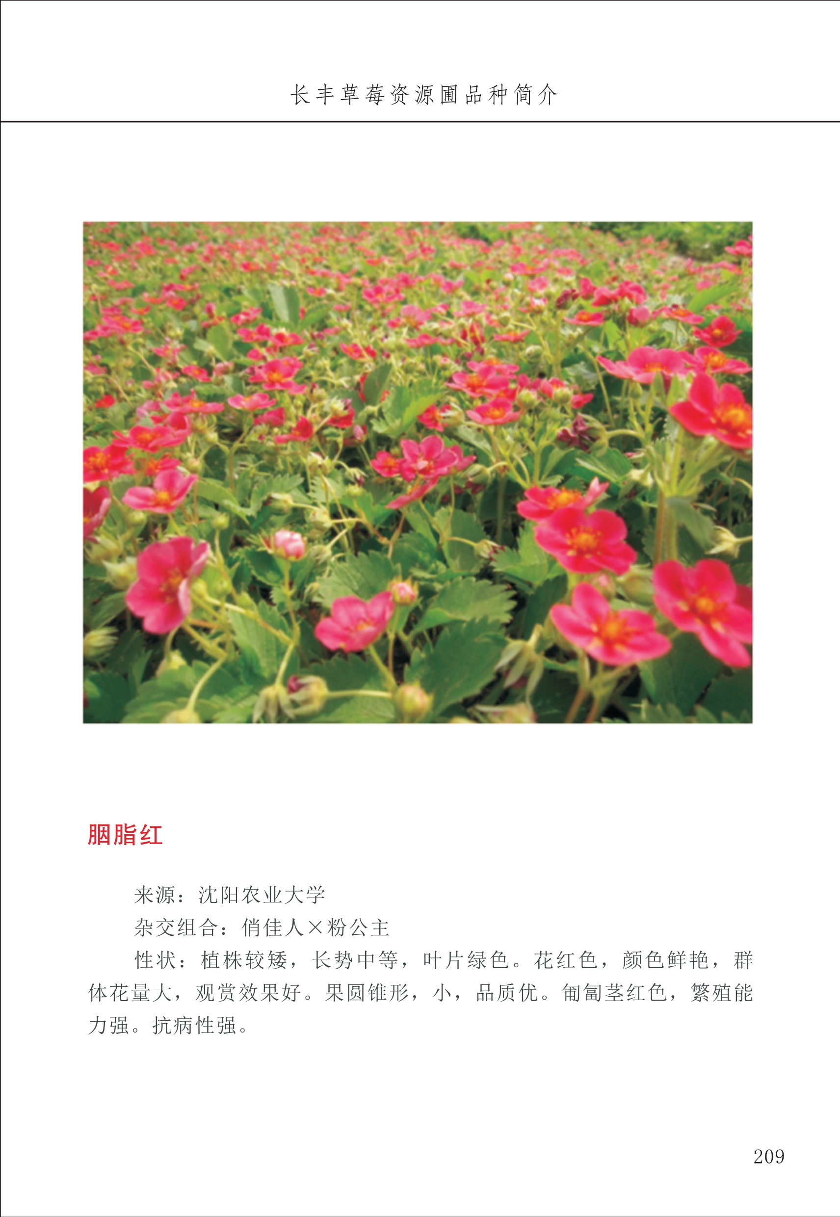 長(zhǎng)豐農(nóng)技中心3_9.jpg