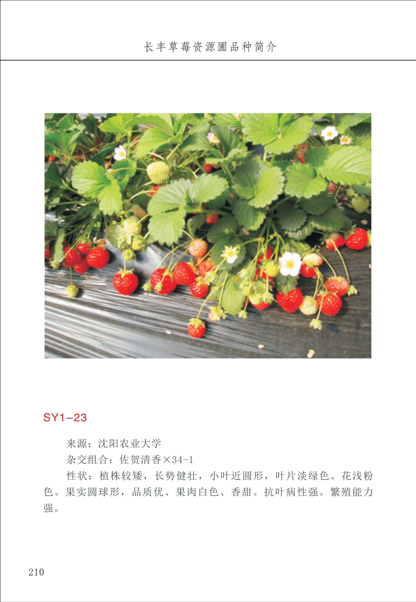 長豐農(nóng)技中心3_10.jpg