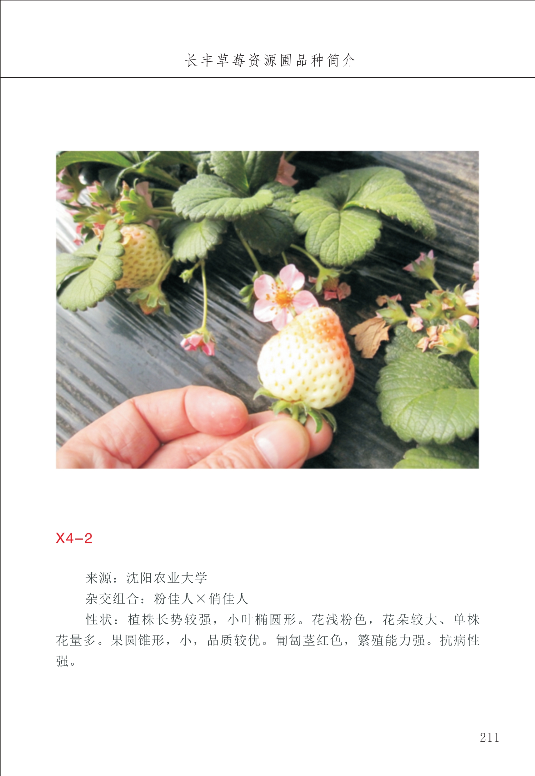 長豐農(nóng)技中心3_11.jpg