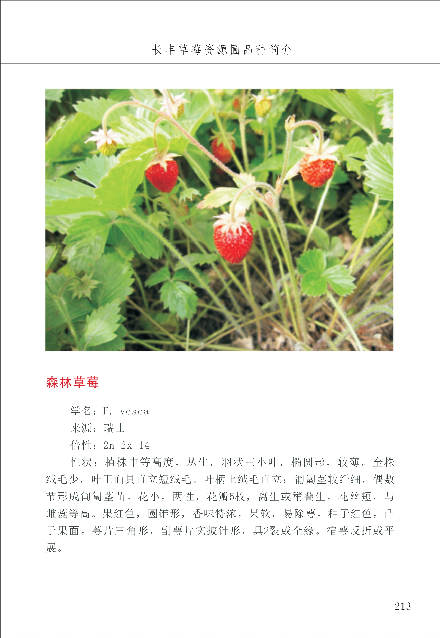 長豐農(nóng)技中心3_13.jpg
