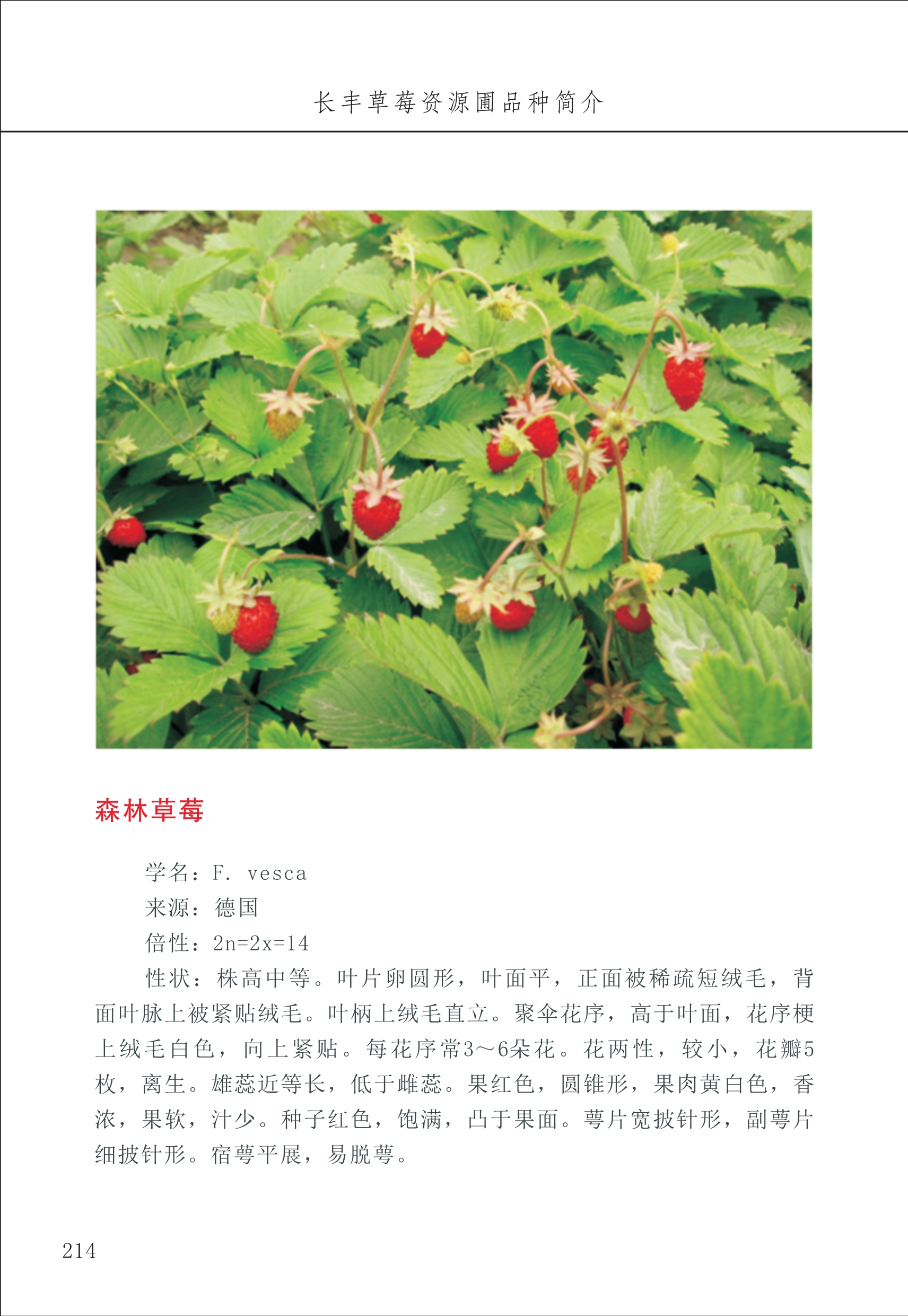 長豐農(nóng)技中心3_14.jpg