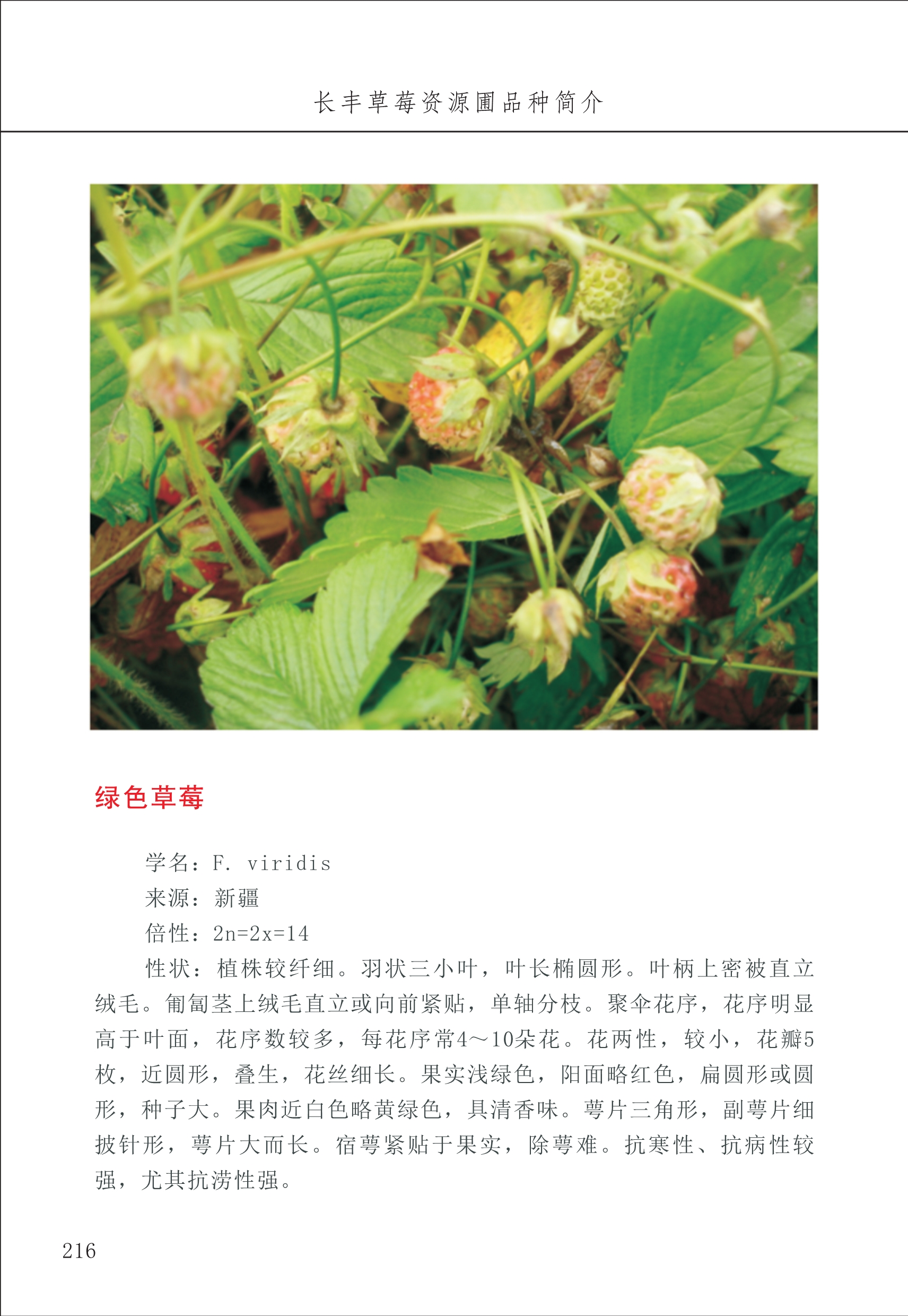 長豐農(nóng)技中心3_16.jpg
