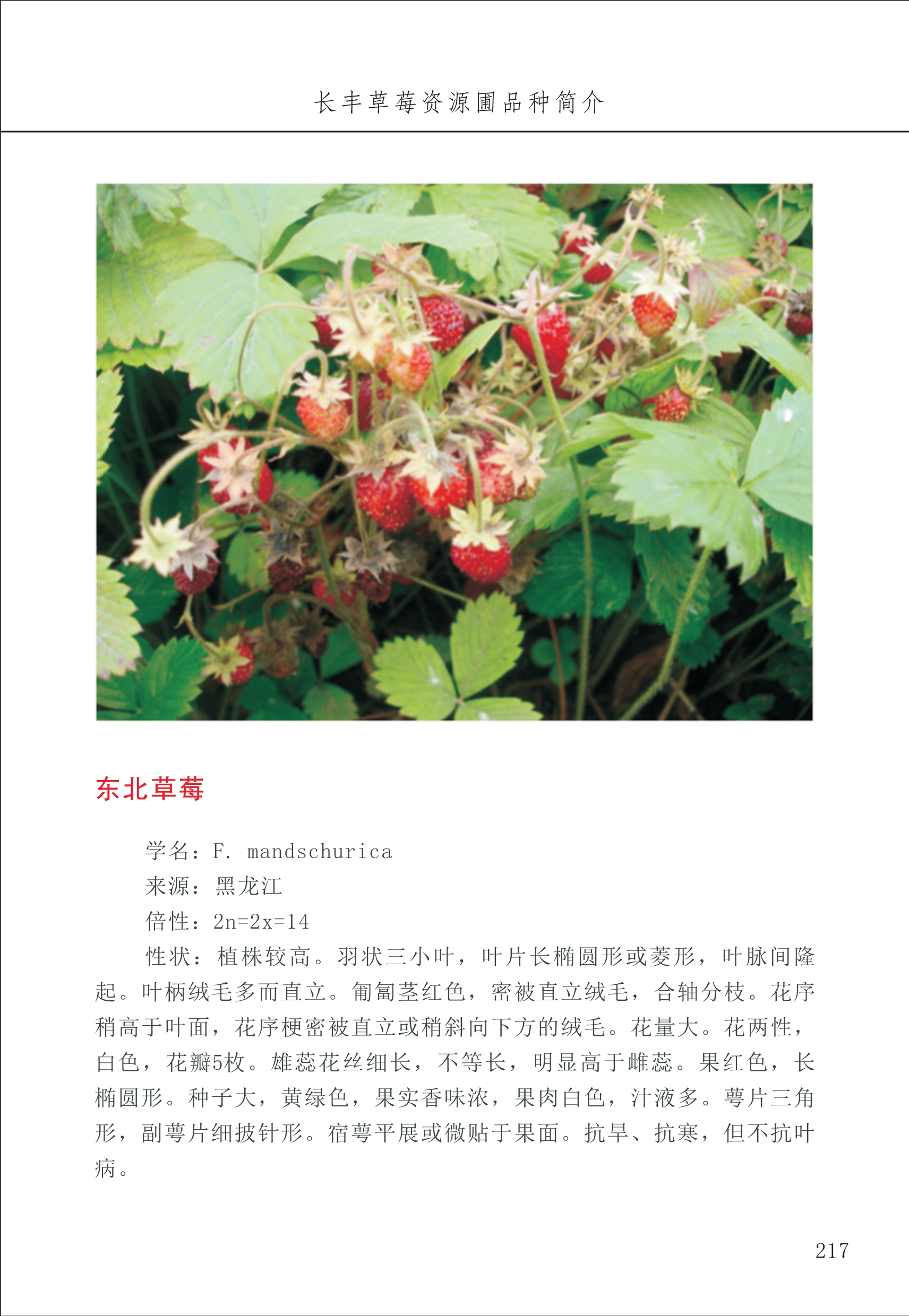 長(zhǎng)豐農(nóng)技中心3_17.jpg