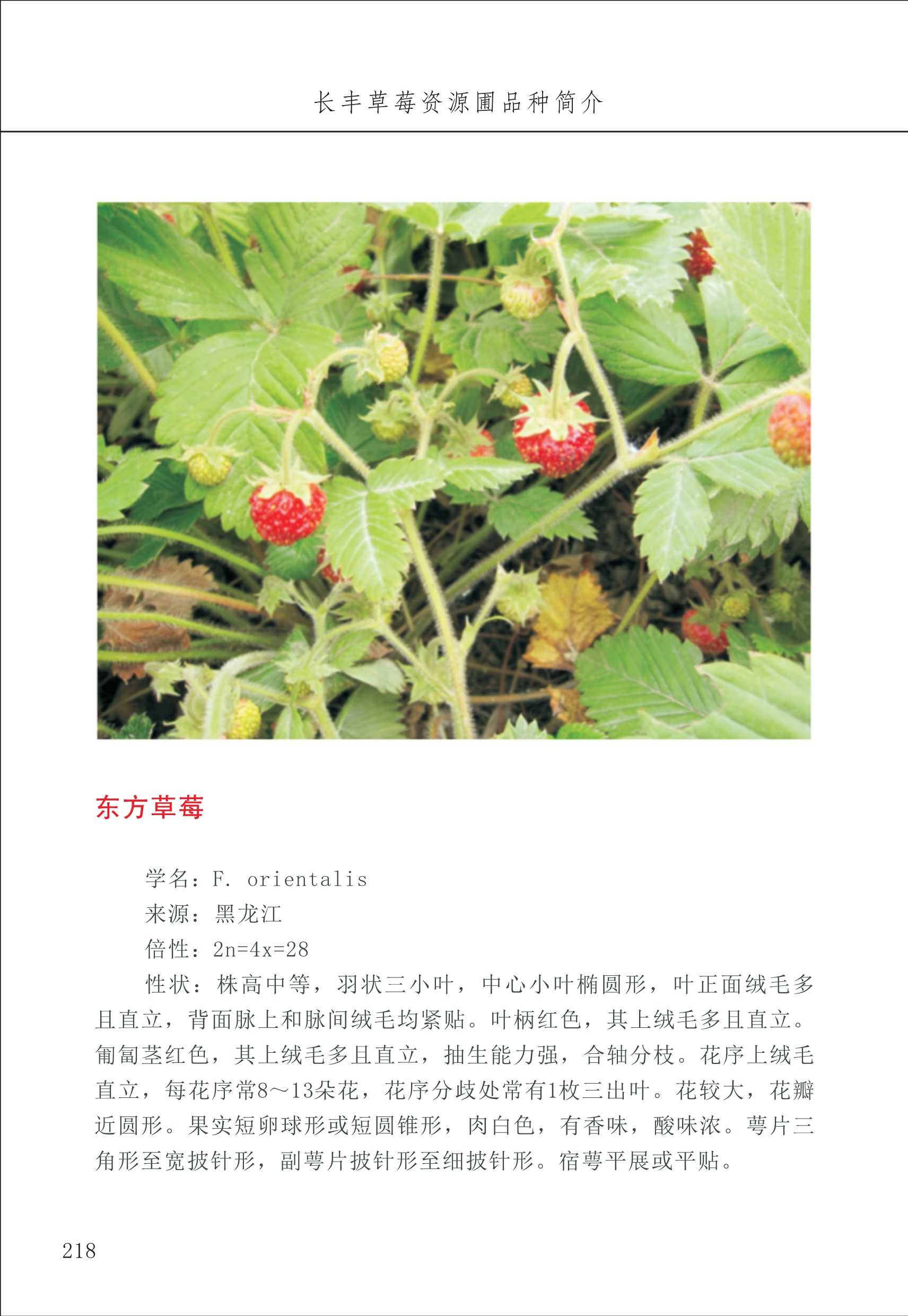 長豐農(nóng)技中心3_18.jpg