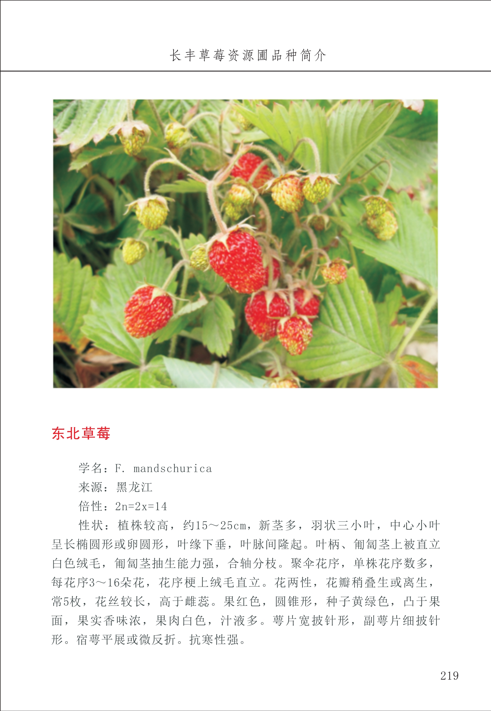 長豐農(nóng)技中心3_19.jpg