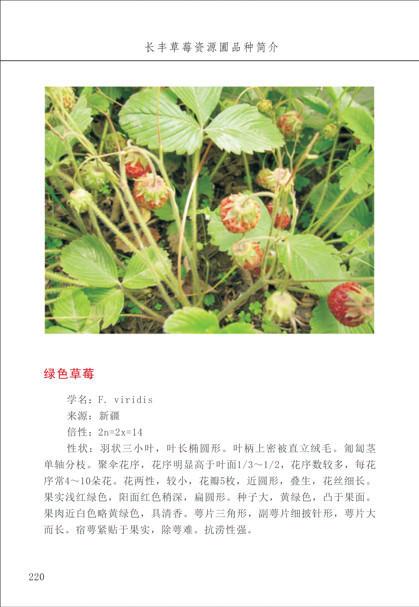 長(zhǎng)豐農(nóng)技中心3_20.jpg
