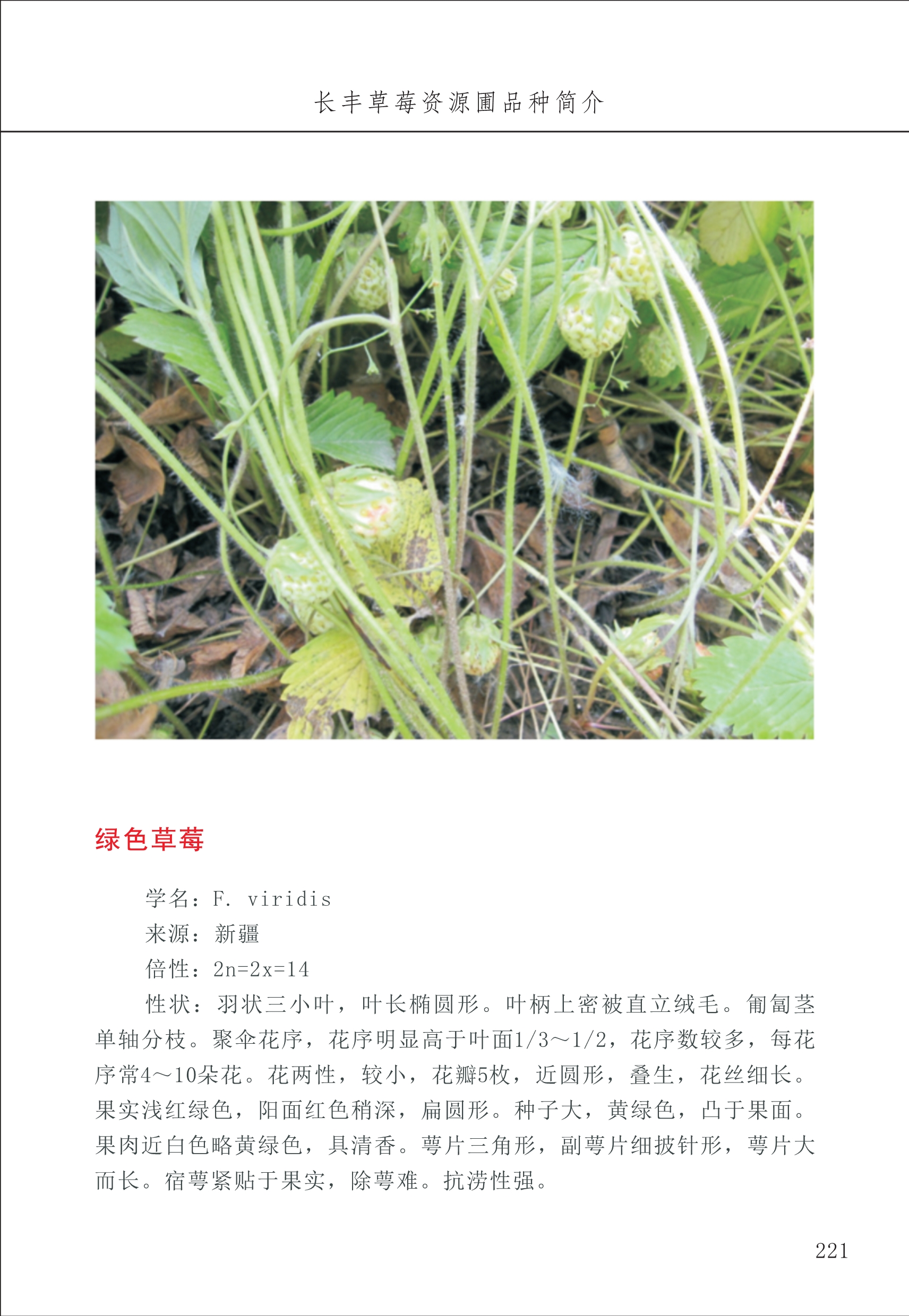 長(zhǎng)豐農(nóng)技中心3_21.jpg