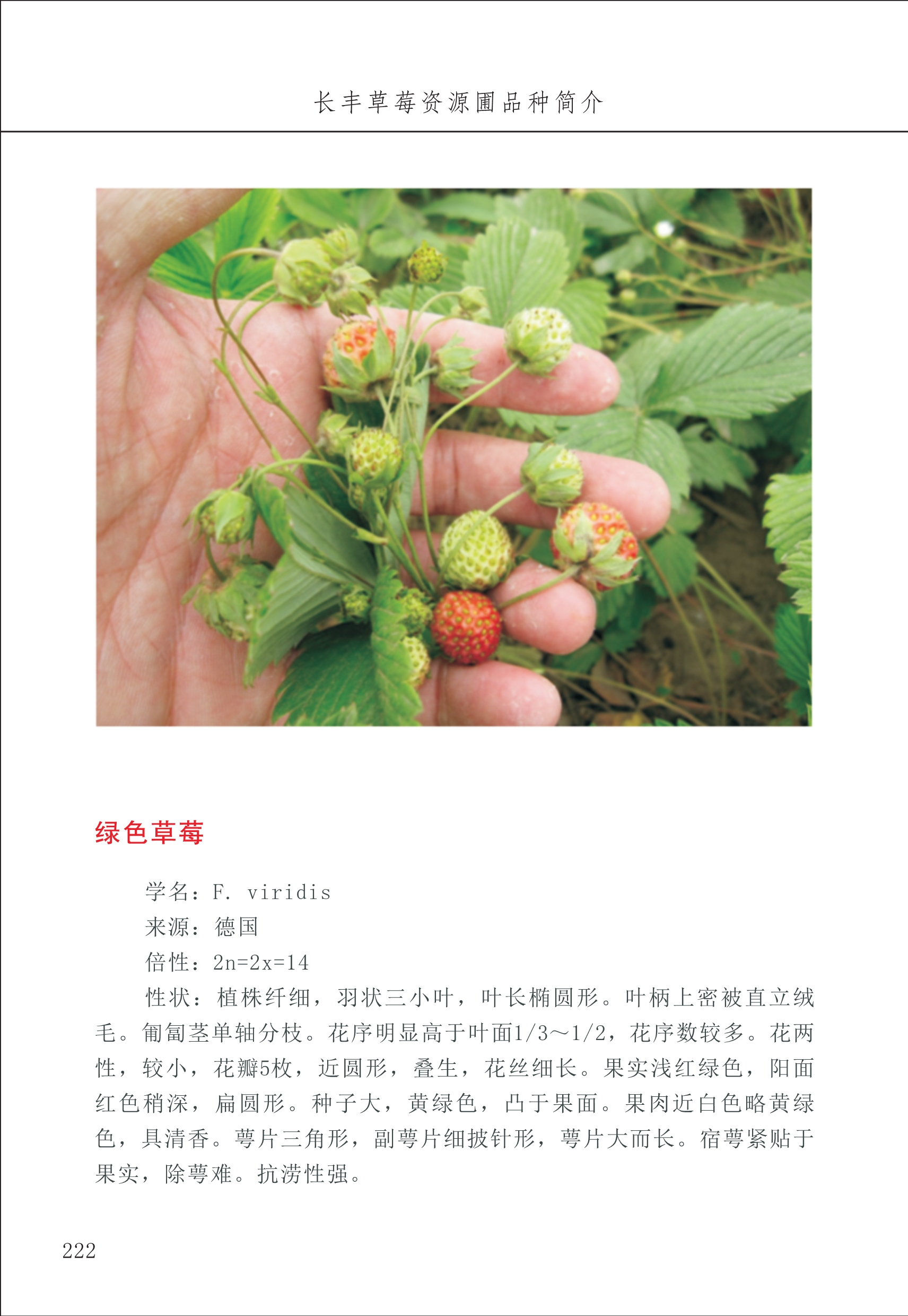 長(zhǎng)豐農(nóng)技中心3_22.jpg