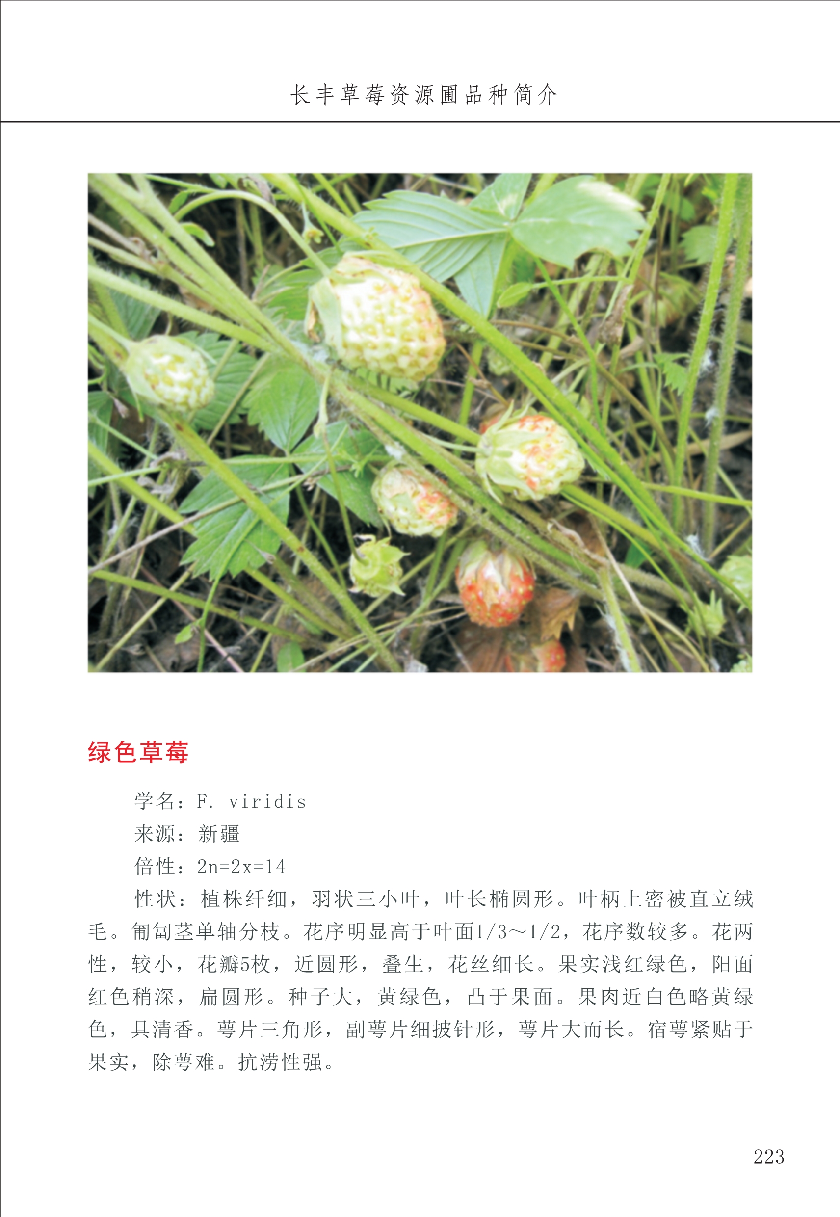 長(zhǎng)豐農(nóng)技中心3_23.jpg