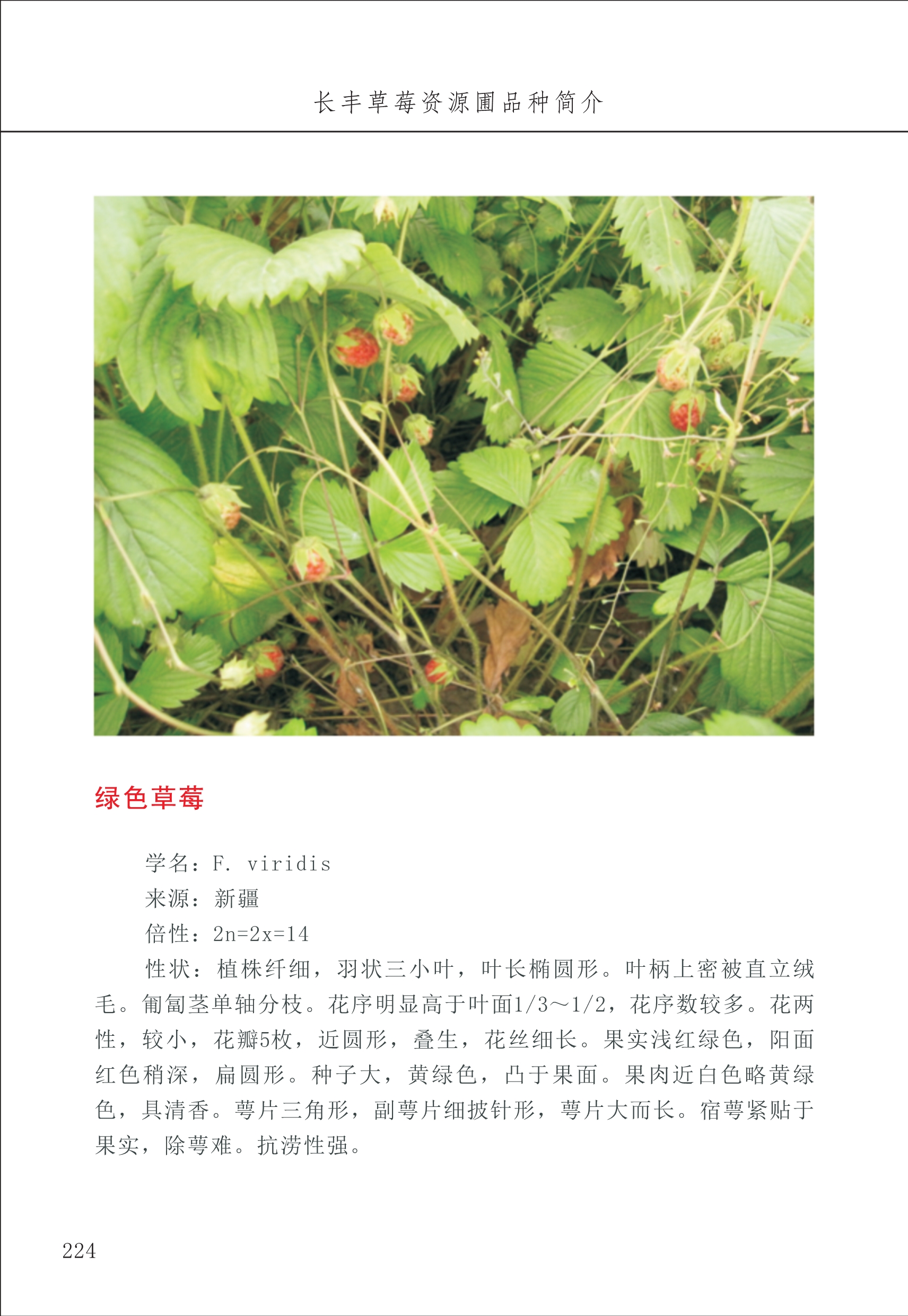 長豐農(nóng)技中心3_24.jpg