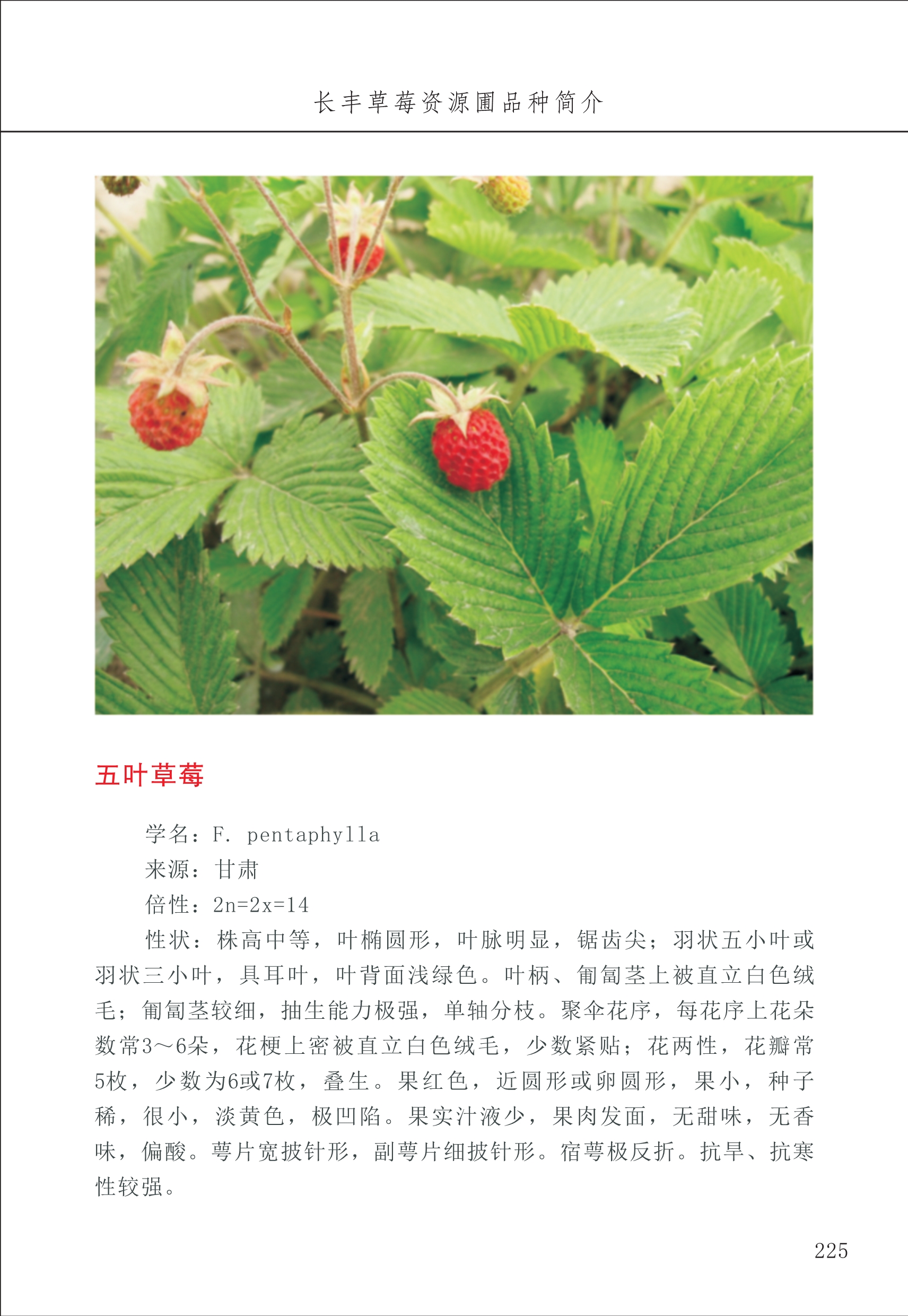 長豐農(nóng)技中心3_25.jpg
