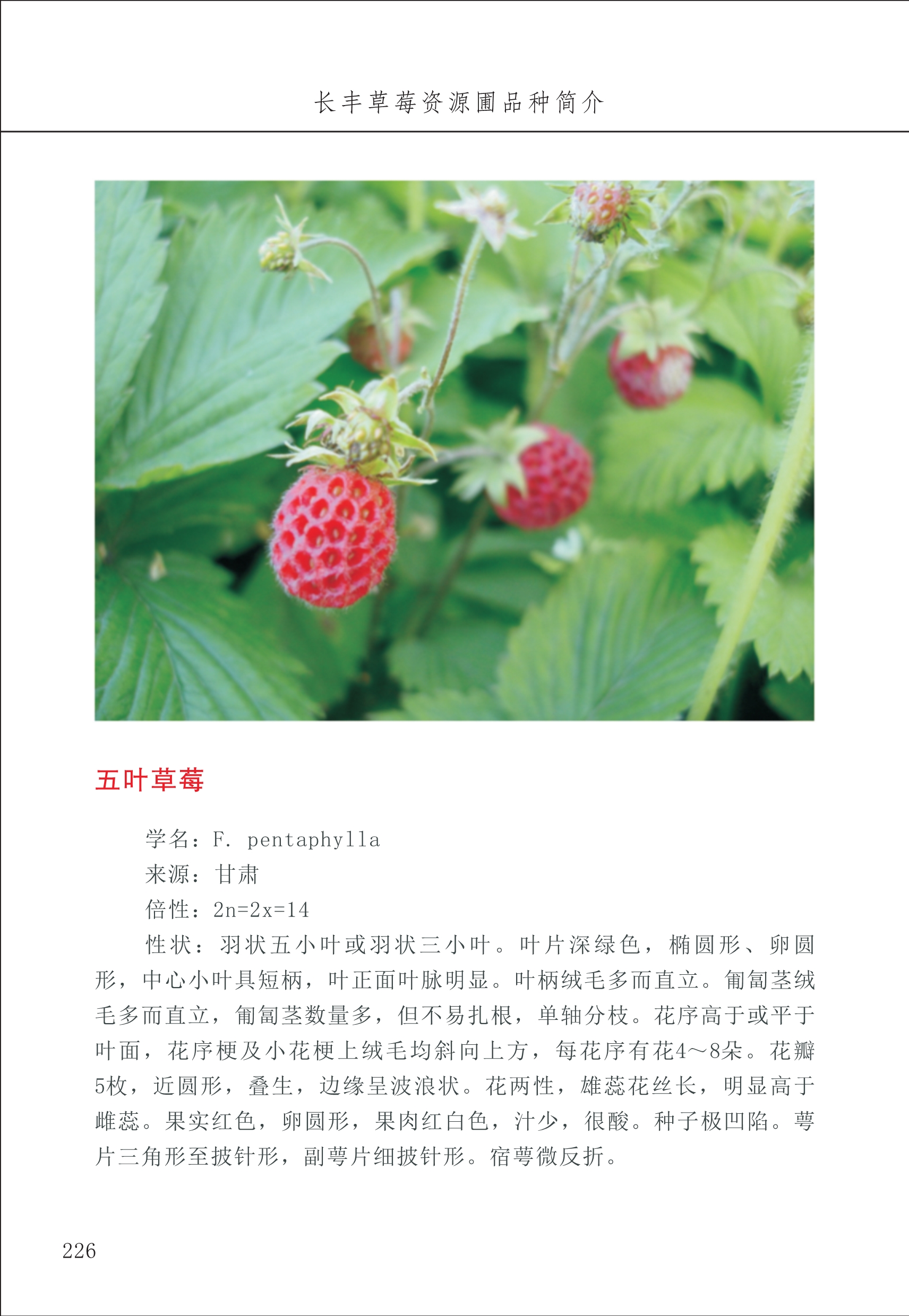 長(zhǎng)豐農(nóng)技中心3_26.jpg