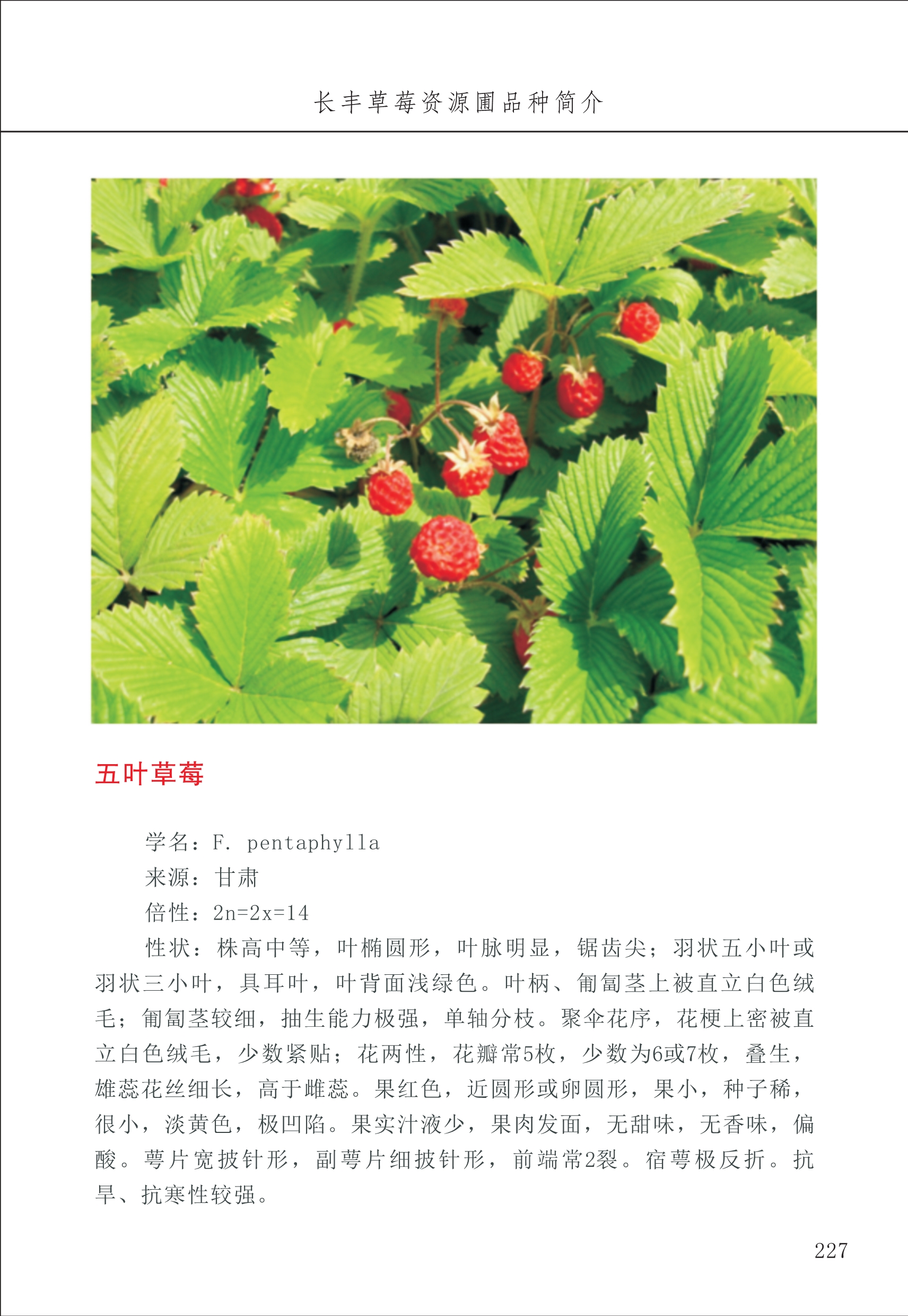 長豐農(nóng)技中心3_27.jpg