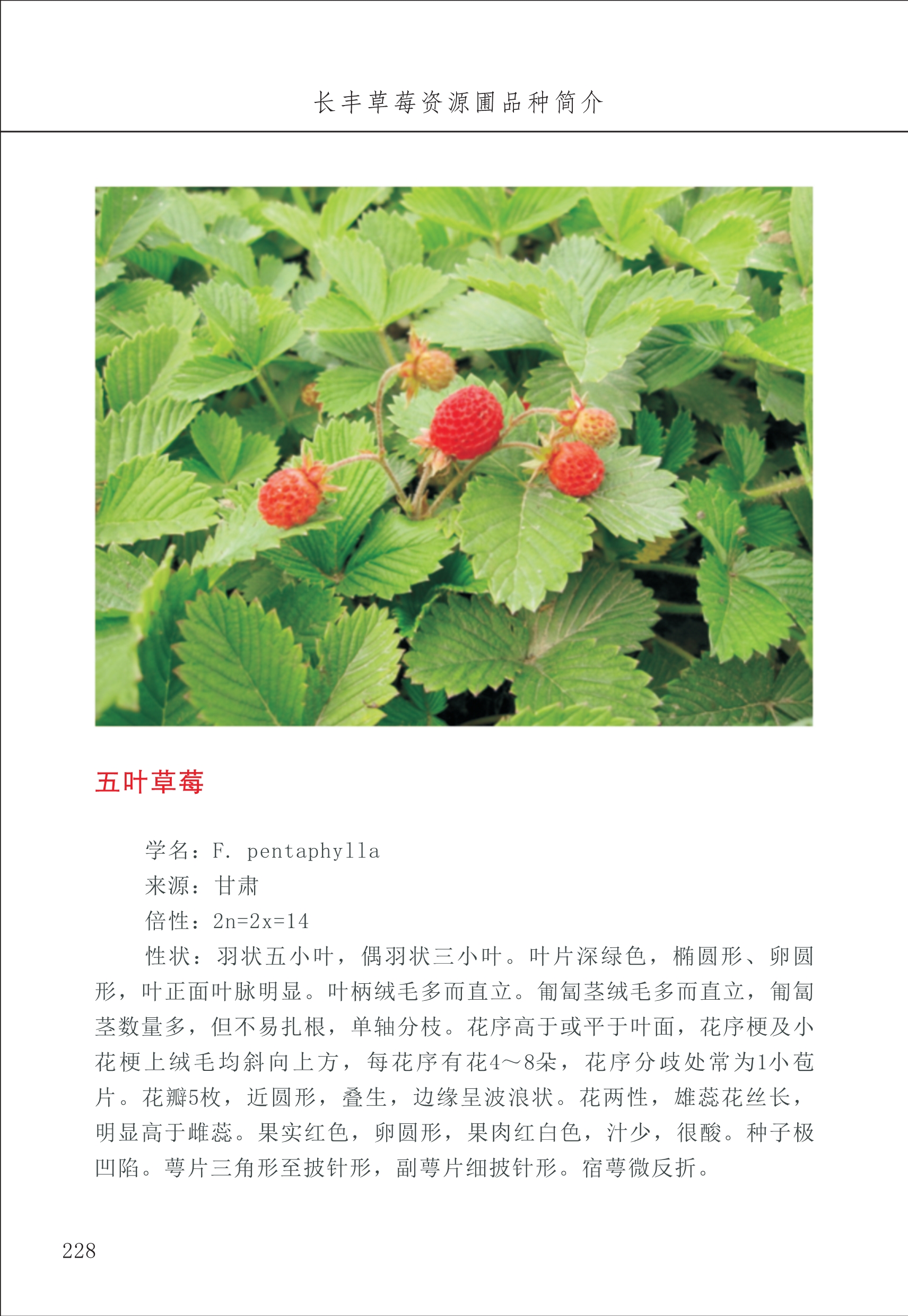 長(zhǎng)豐農(nóng)技中心3_28.jpg