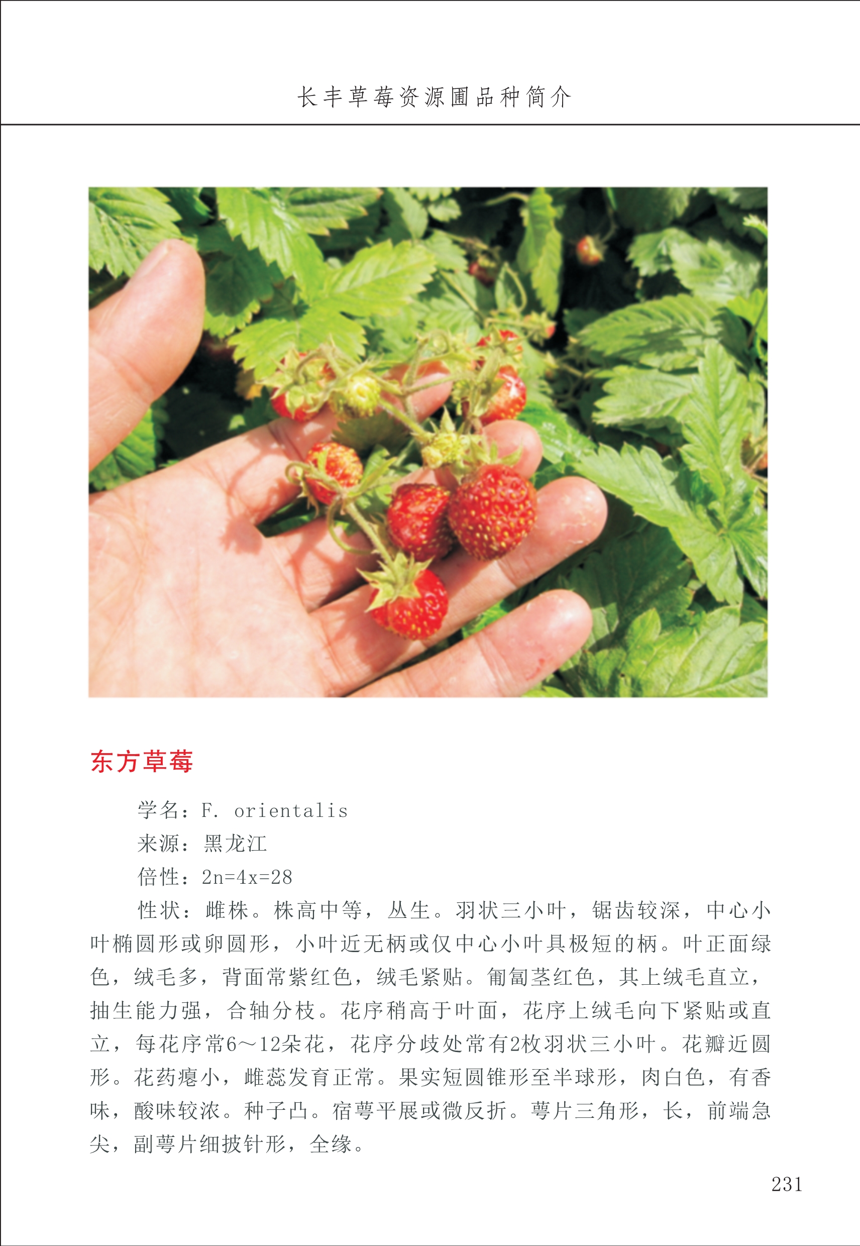 長豐農(nóng)技中心3_31.jpg