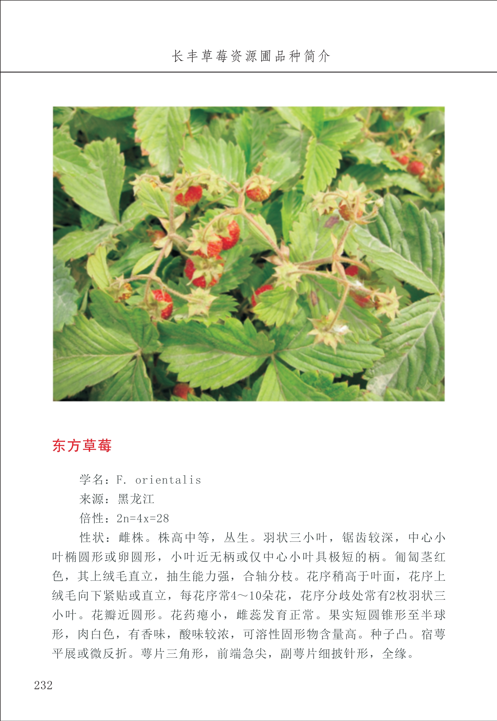 長豐農(nóng)技中心3_32.jpg