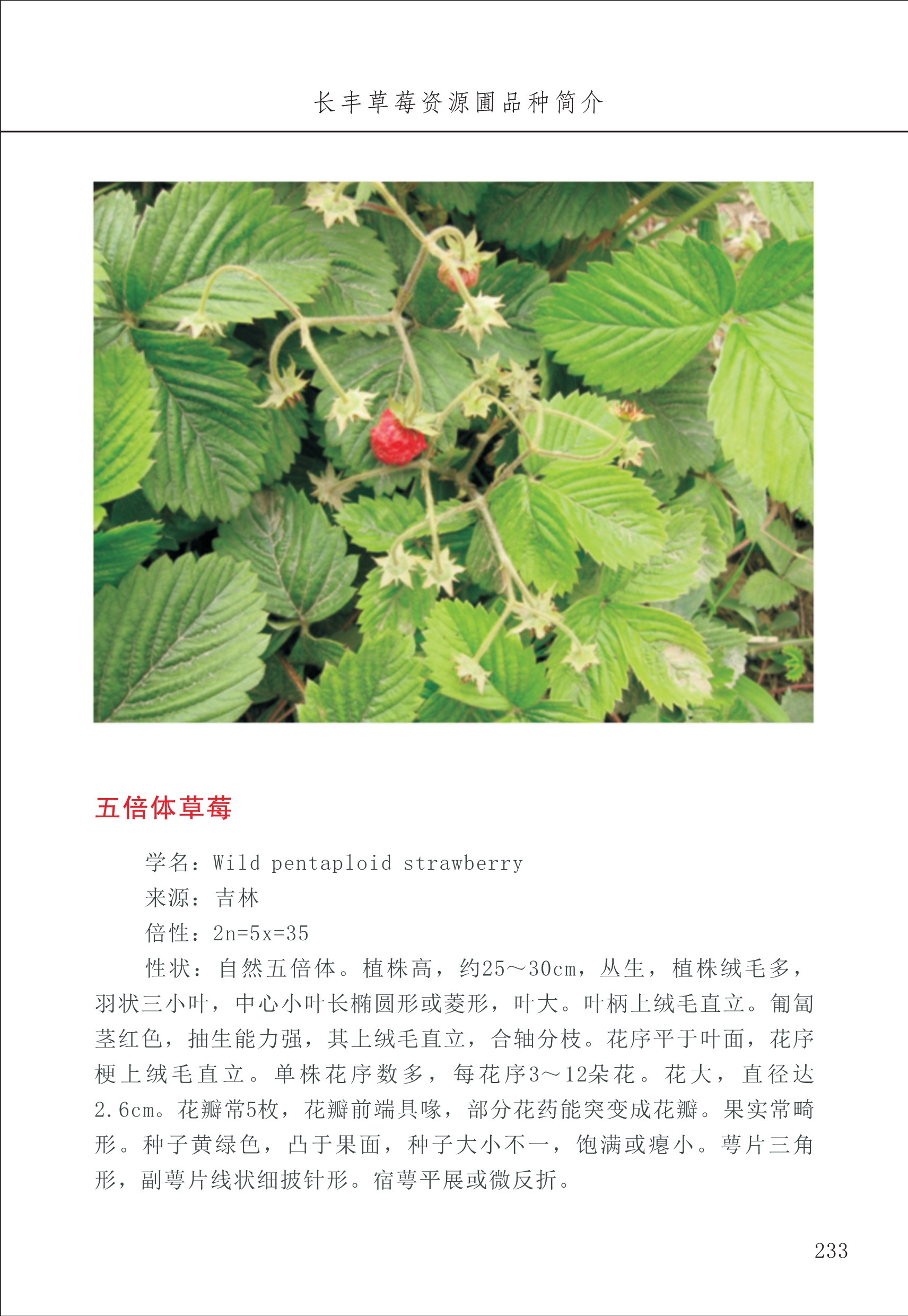 長(zhǎng)豐農(nóng)技中心3_33.jpg