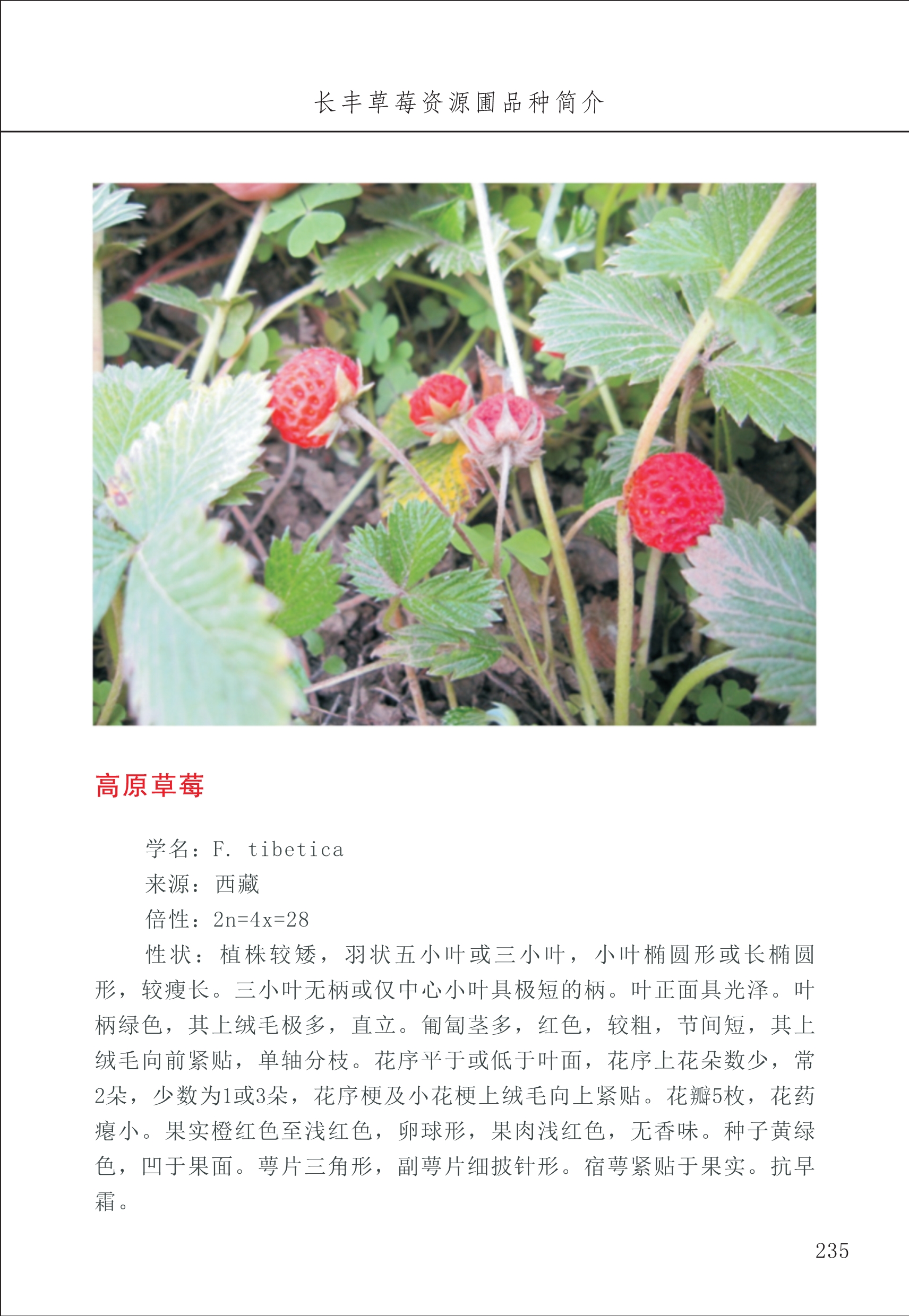 長豐農(nóng)技中心3_35.jpg