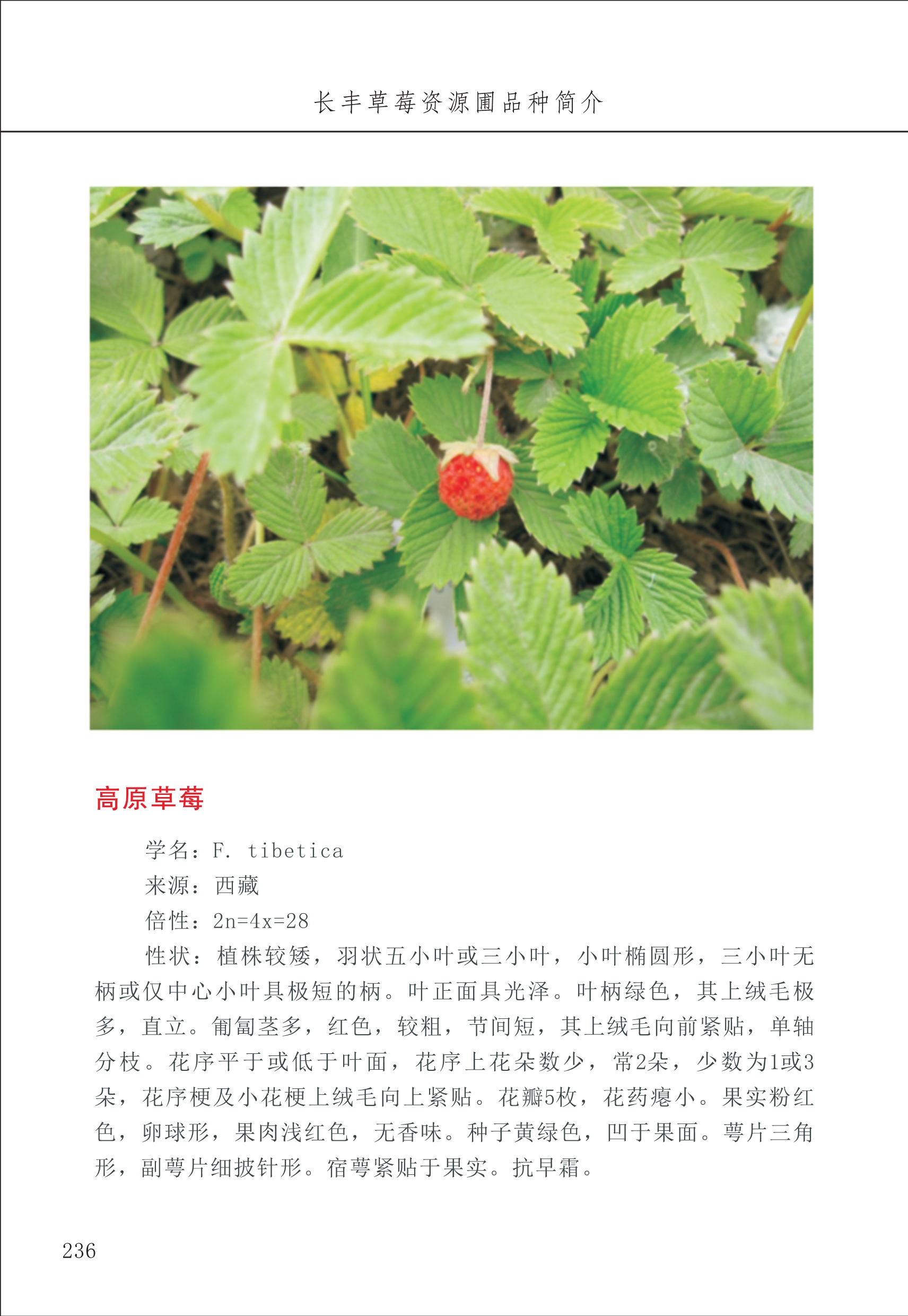 長(zhǎng)豐農(nóng)技中心3_36.jpg