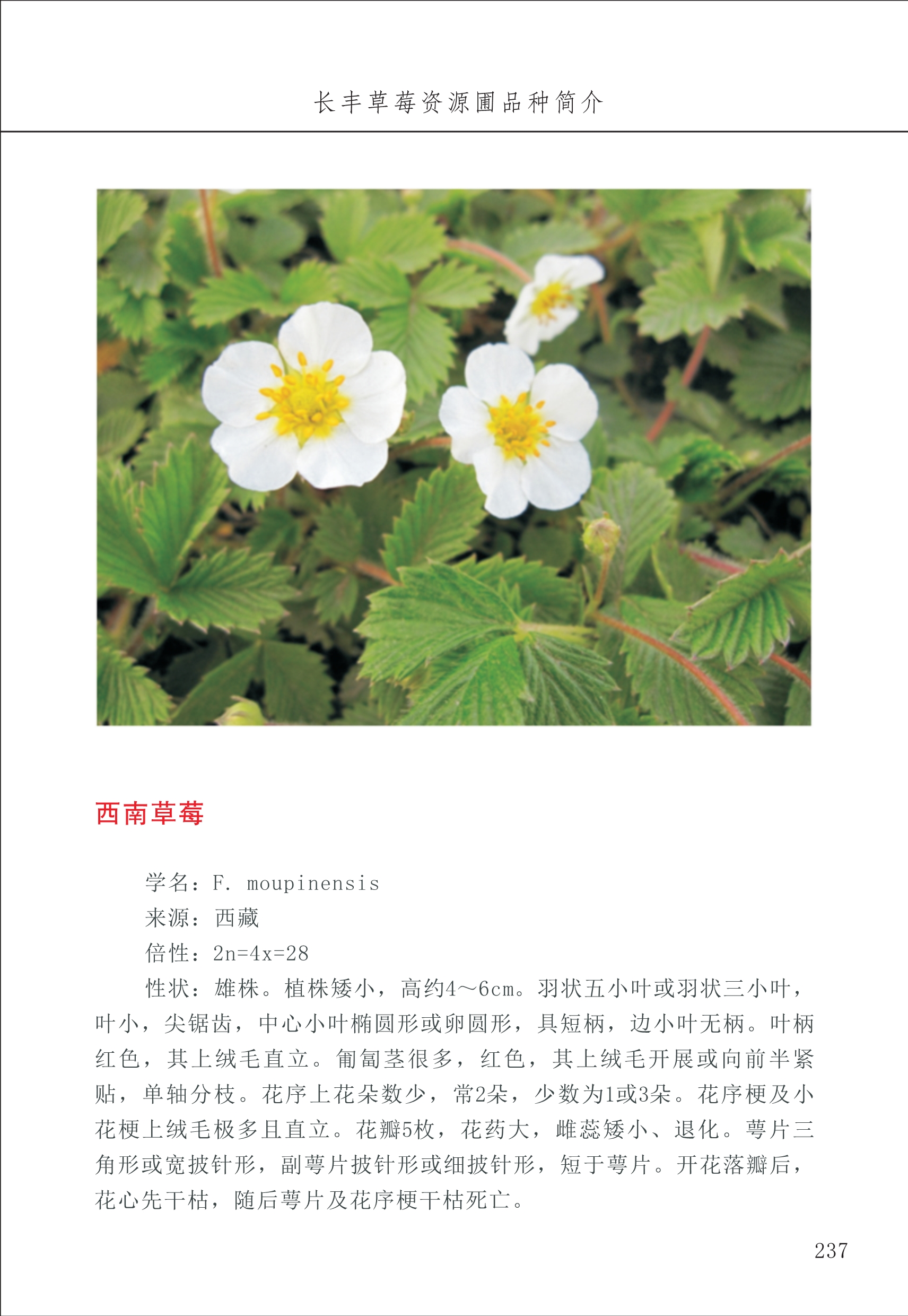 長豐農(nóng)技中心3_37.jpg