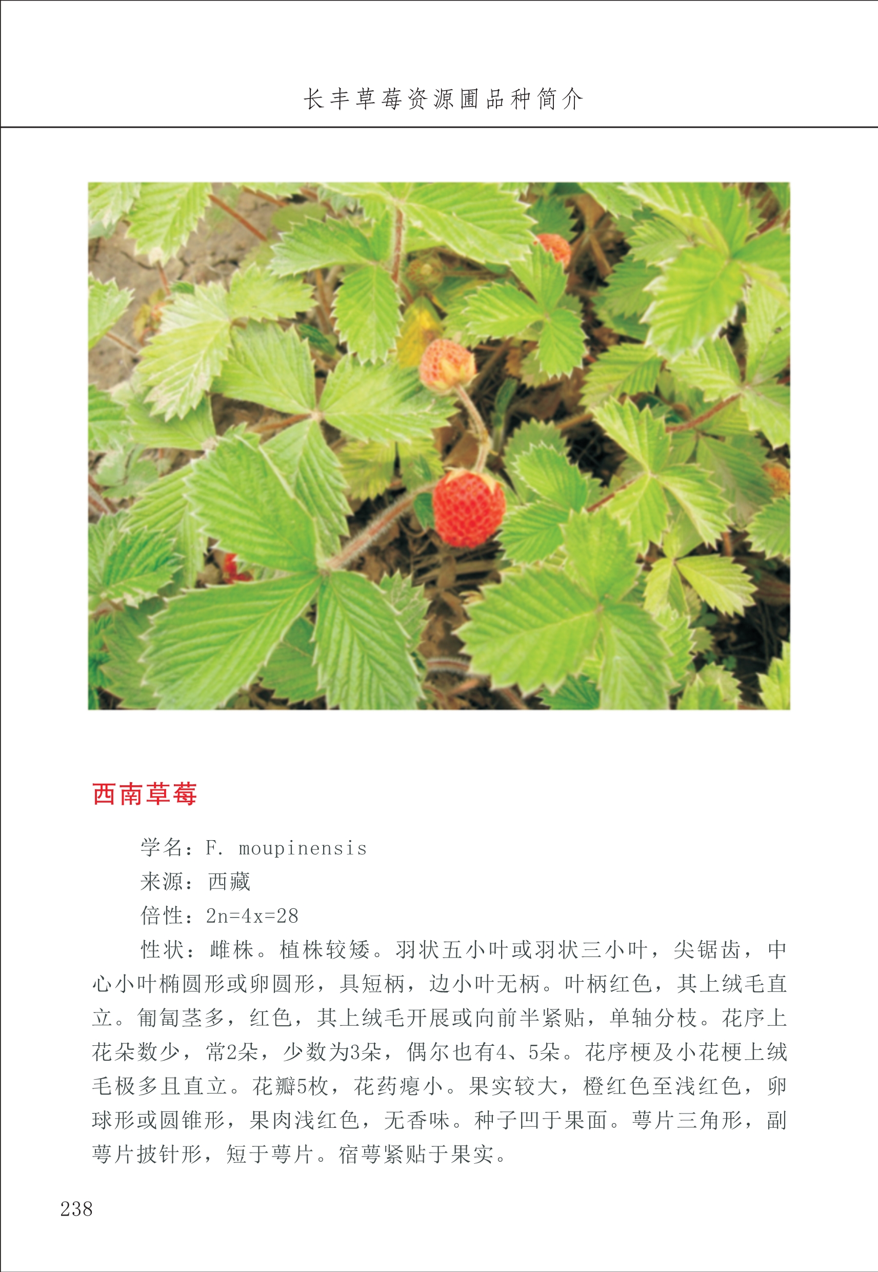 長(zhǎng)豐農(nóng)技中心3_38.jpg