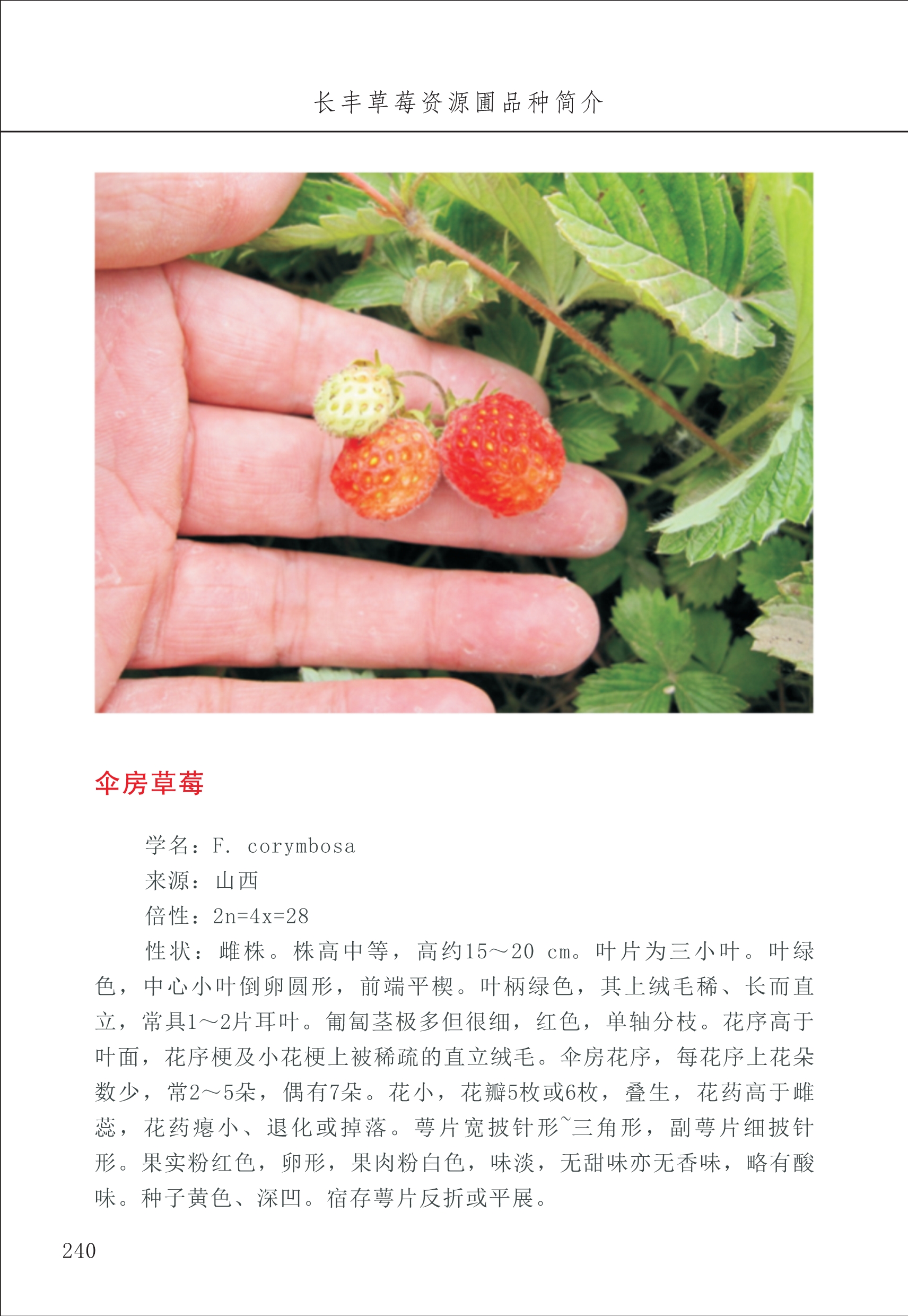 長(zhǎng)豐農(nóng)技中心3_40.jpg