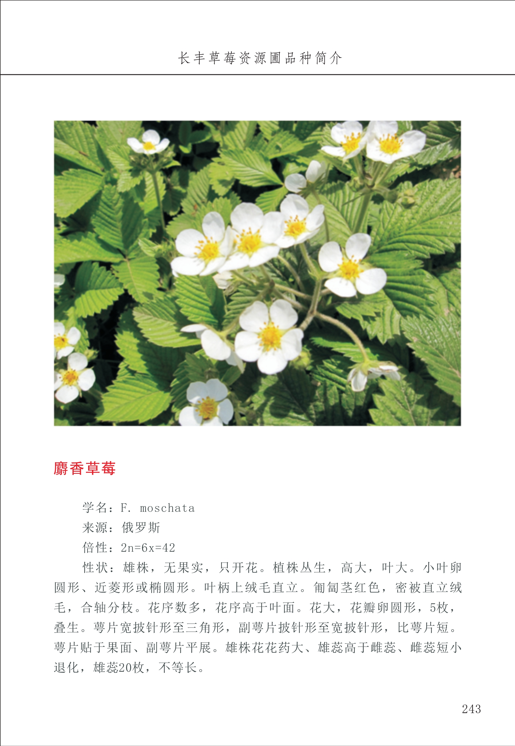 長(zhǎng)豐農(nóng)技中心3_43.jpg