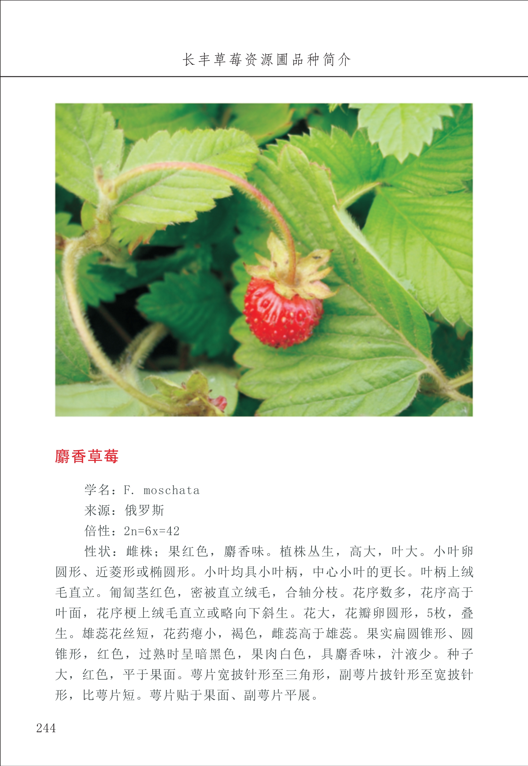 長豐農(nóng)技中心3_44.jpg