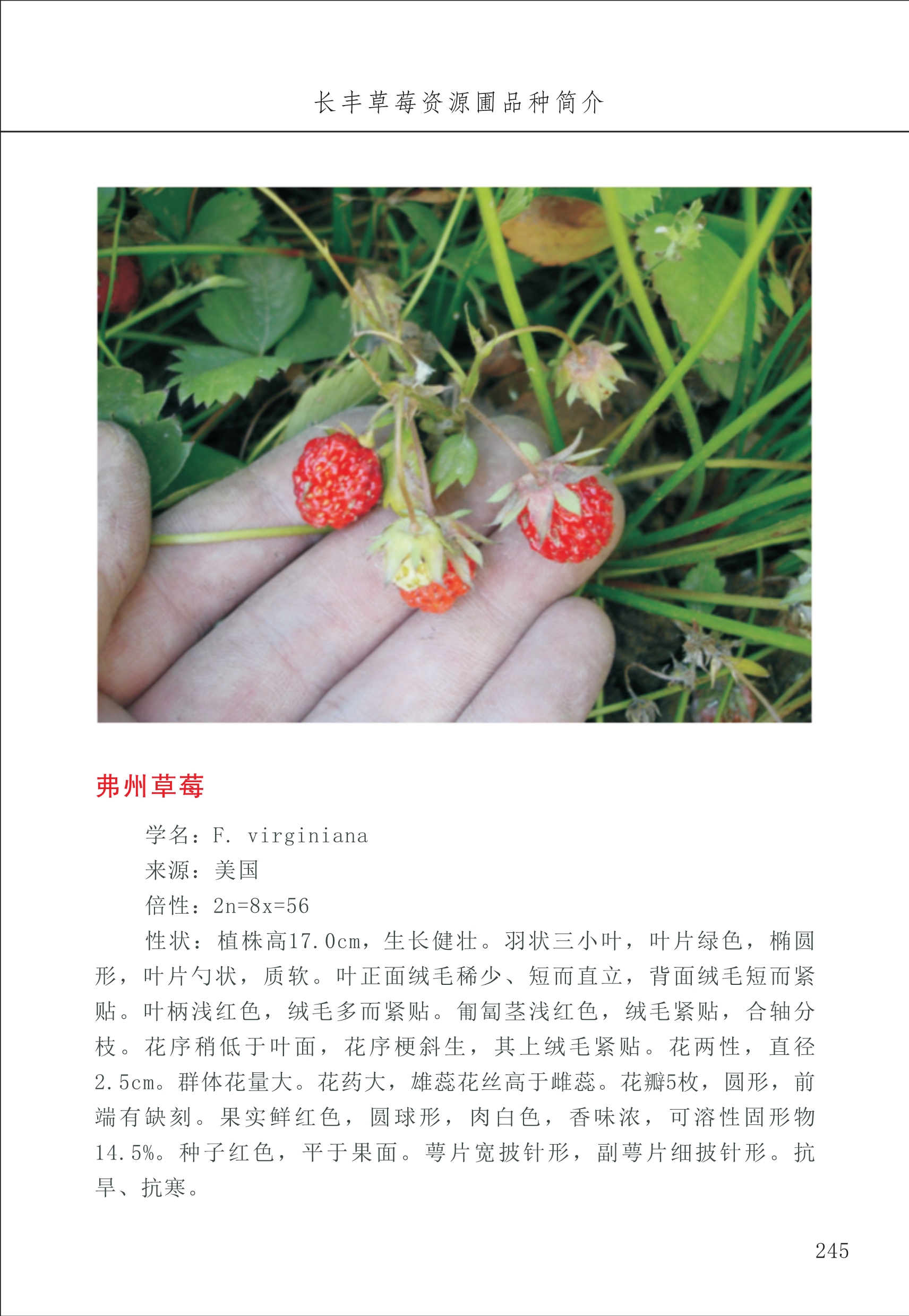 長豐農(nóng)技中心3_45.jpg