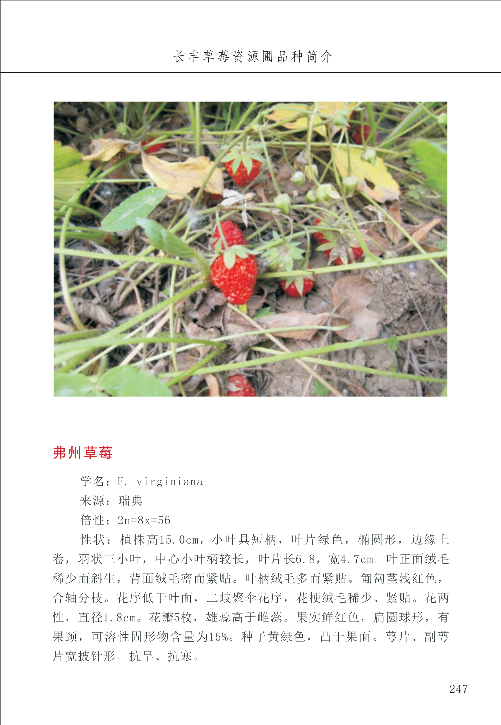 長(zhǎng)豐農(nóng)技中心3_47.jpg