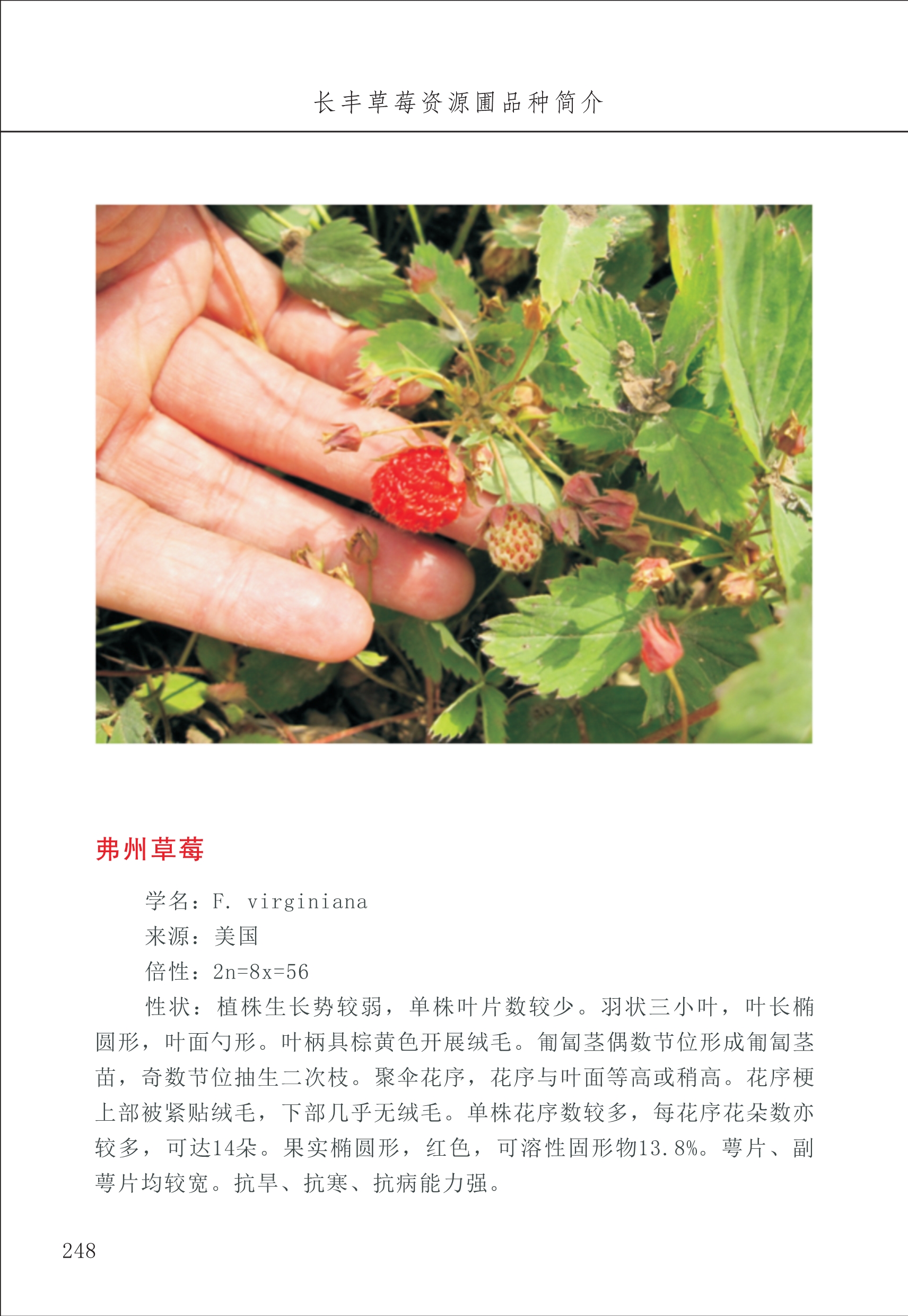 長(zhǎng)豐農(nóng)技中心3_48.jpg