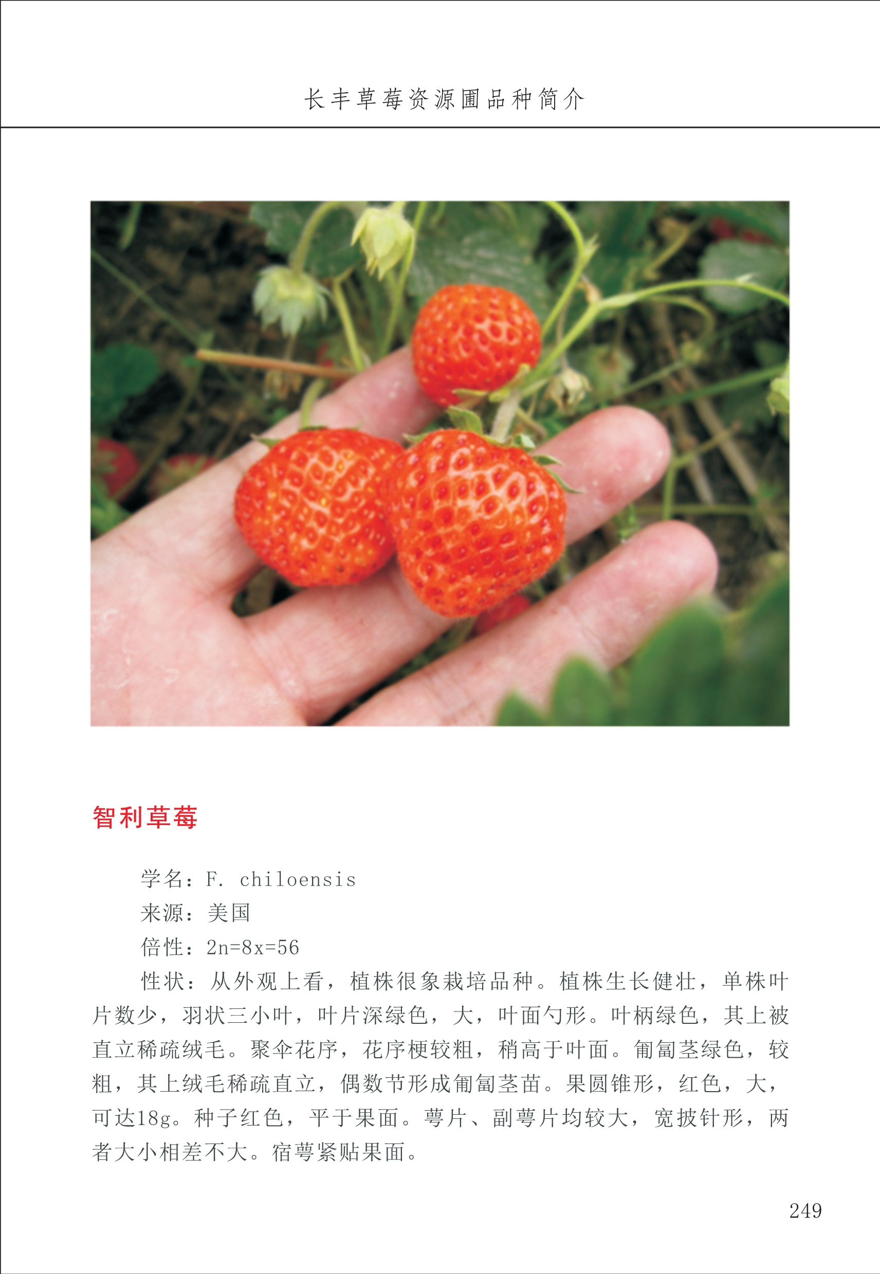 長豐農(nóng)技中心3_49.jpg