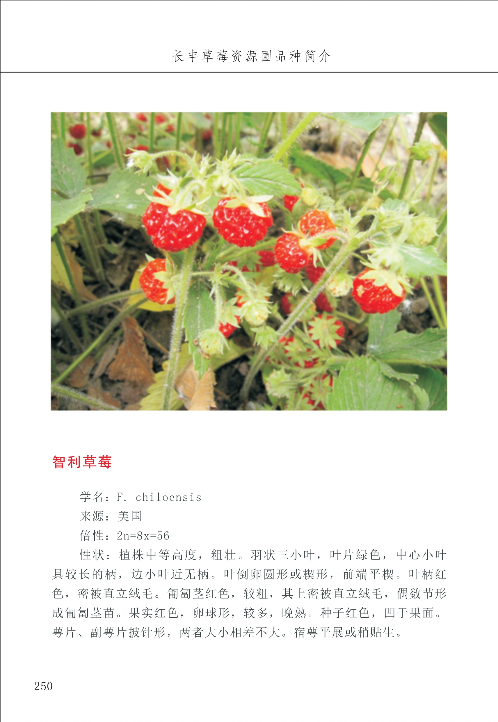 長豐農(nóng)技中心3_50.jpg