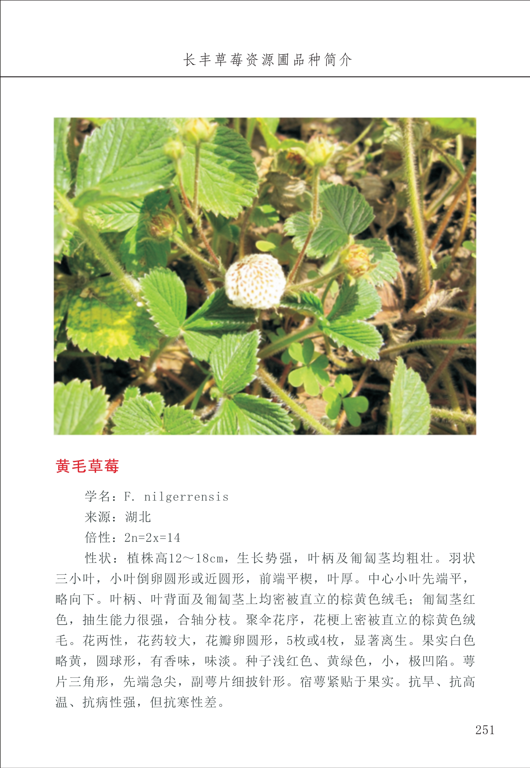 長豐農(nóng)技中心3_51.jpg