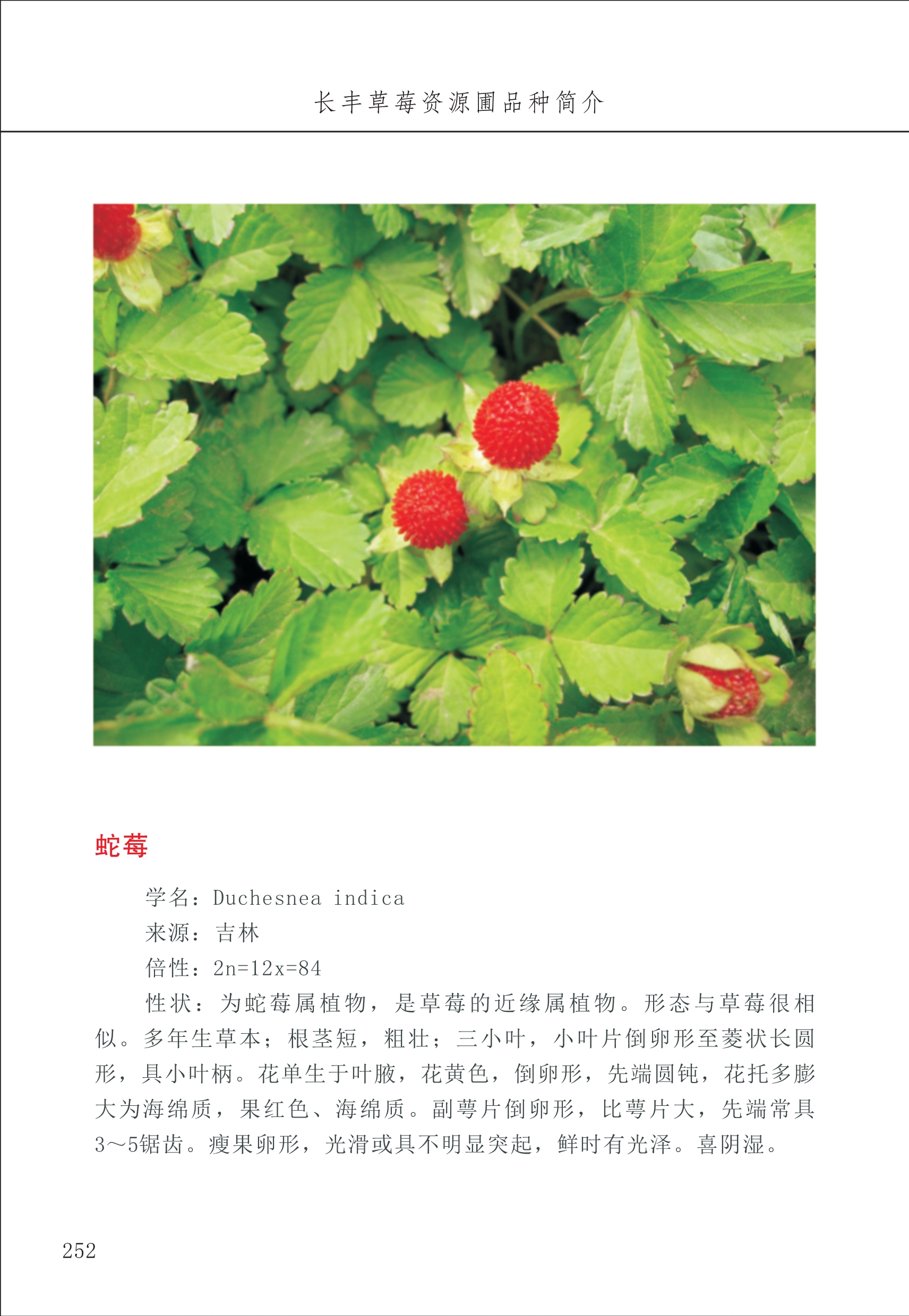 長豐農(nóng)技中心3_52.jpg